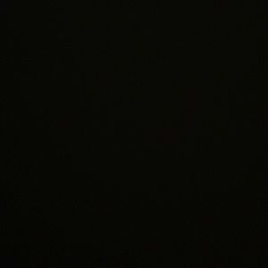 Meet your Posher, Wilhemina